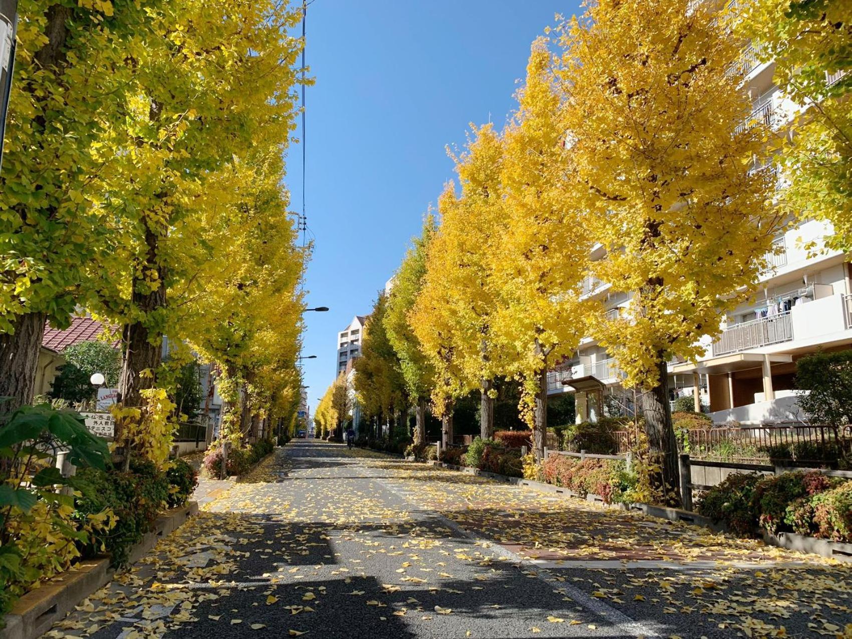 Rosenheim Tokyo Shinjuku Tokió Kültér fotó
